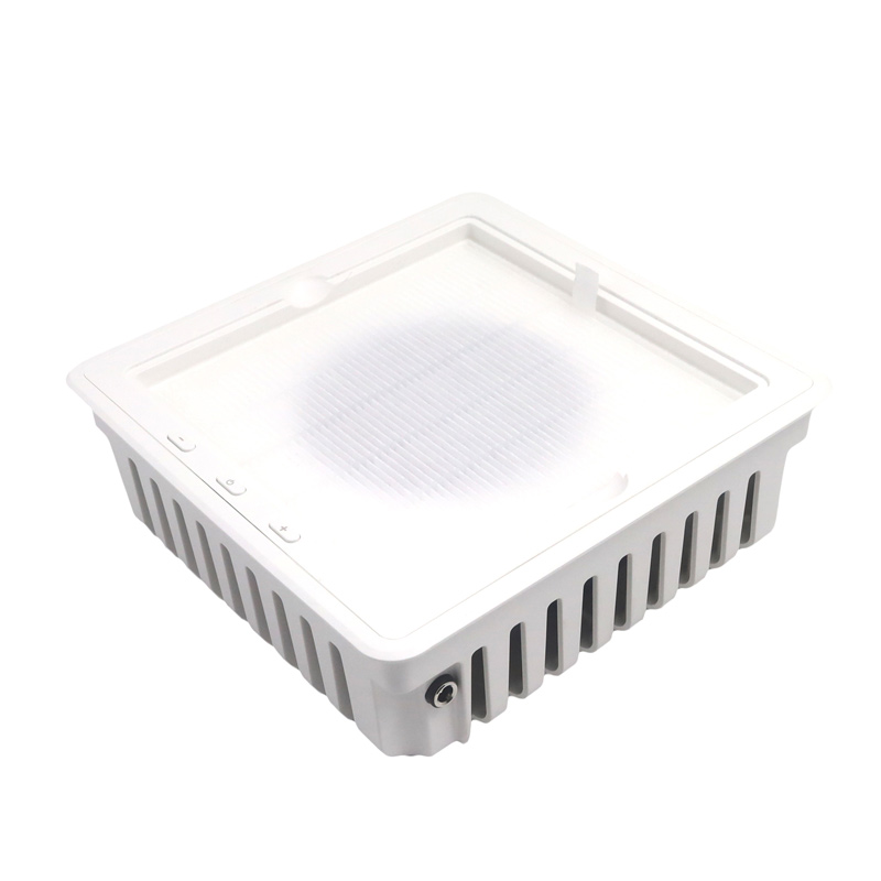 Ammattimainen kynsipölynimuri